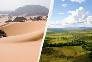 Леса, саванны и бегемоты: ученые смоделировали климат Сахары тысячи лет назад