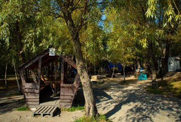 Охрана на бумаге: кто зарабатывает на столичных заповедниках