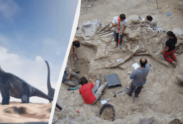 В Іспанії знайшли рештки одного з найбільших динозаврів віком 122 мільйони