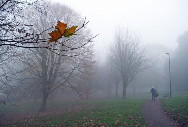 На столицу снова надвигается непогода: Киевскую область предупредили об опасности