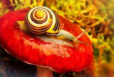 Синоптики прогнозируют изменение погоды в Украине: чего ожидать