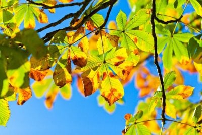 Україну розігріє майже до +30°: синоптик розказав, де буде справжнє літо