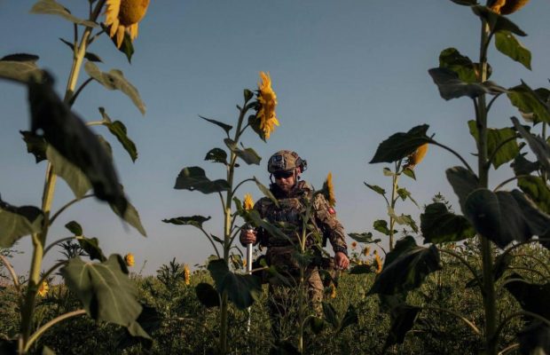 День защитников и защитниц Украины 2024: красивые поздравления для героев