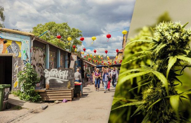 Мэр Копенгагена призвала туристов не покупать марихуану на культовой Пушер-стрит