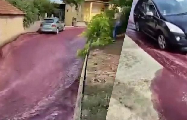 Текло річкою: вулиці португальського міста затопило вином (відео)