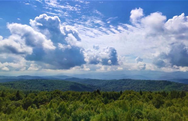 Идеи для осенних походов: на смотровую башню Цюхов Верх из Сходницы (фоторепортаж, видео)