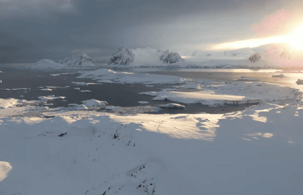 Полярники показали эпическое видео возвращения пингвинов к станции Вернадского