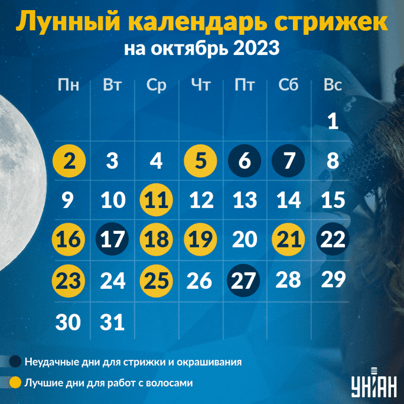 Лунный календарь стрижек на октябрь 2023 - удачные и неудачные дни — УНИАН