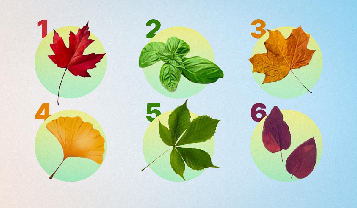 Простой и быстрый психологический тест / УНИАН