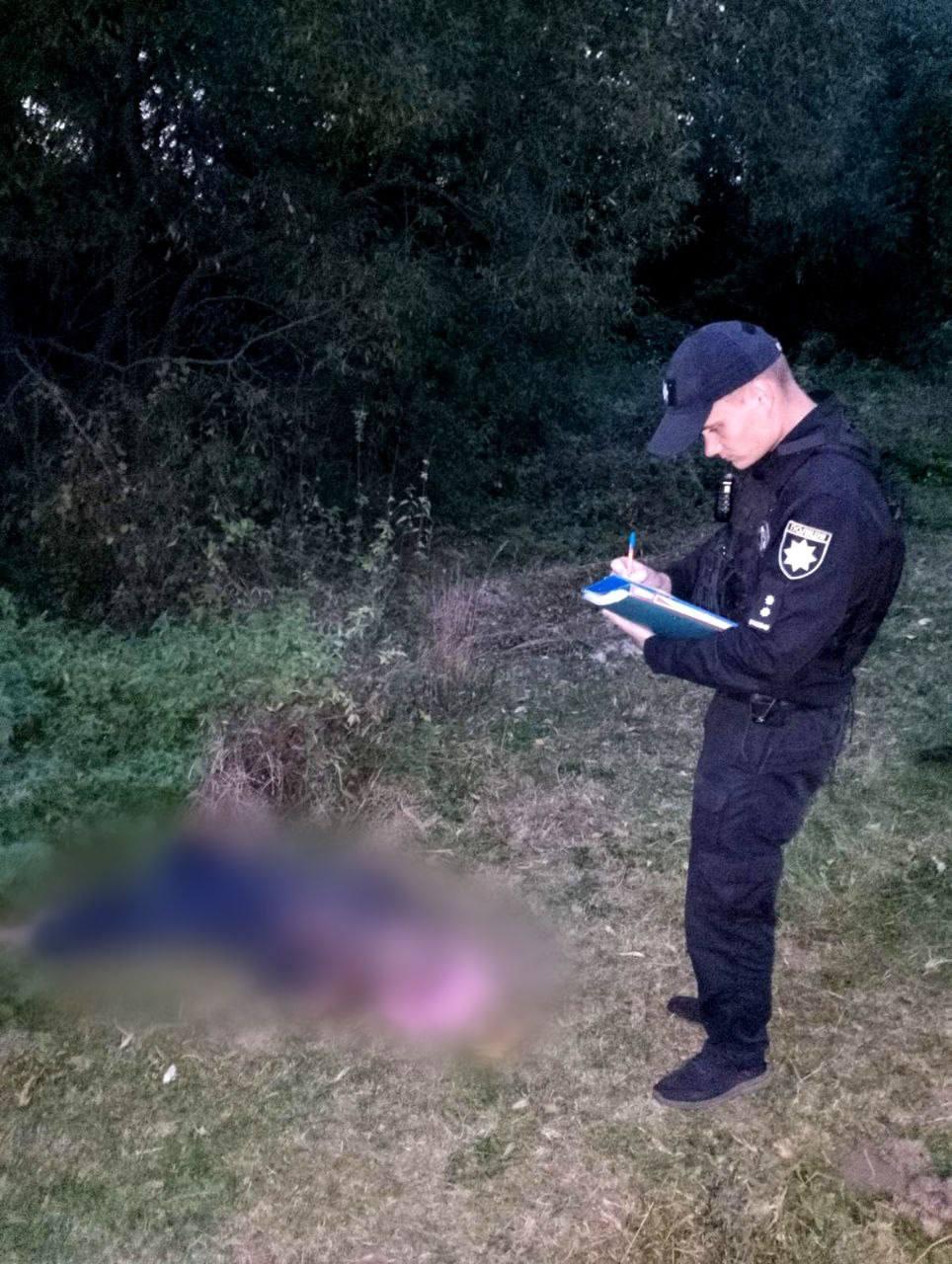 Чоловік помер після нападу шершнів / фото поліція Київщини Чоловік помер після нападу шершнів / фото поліція Київщини