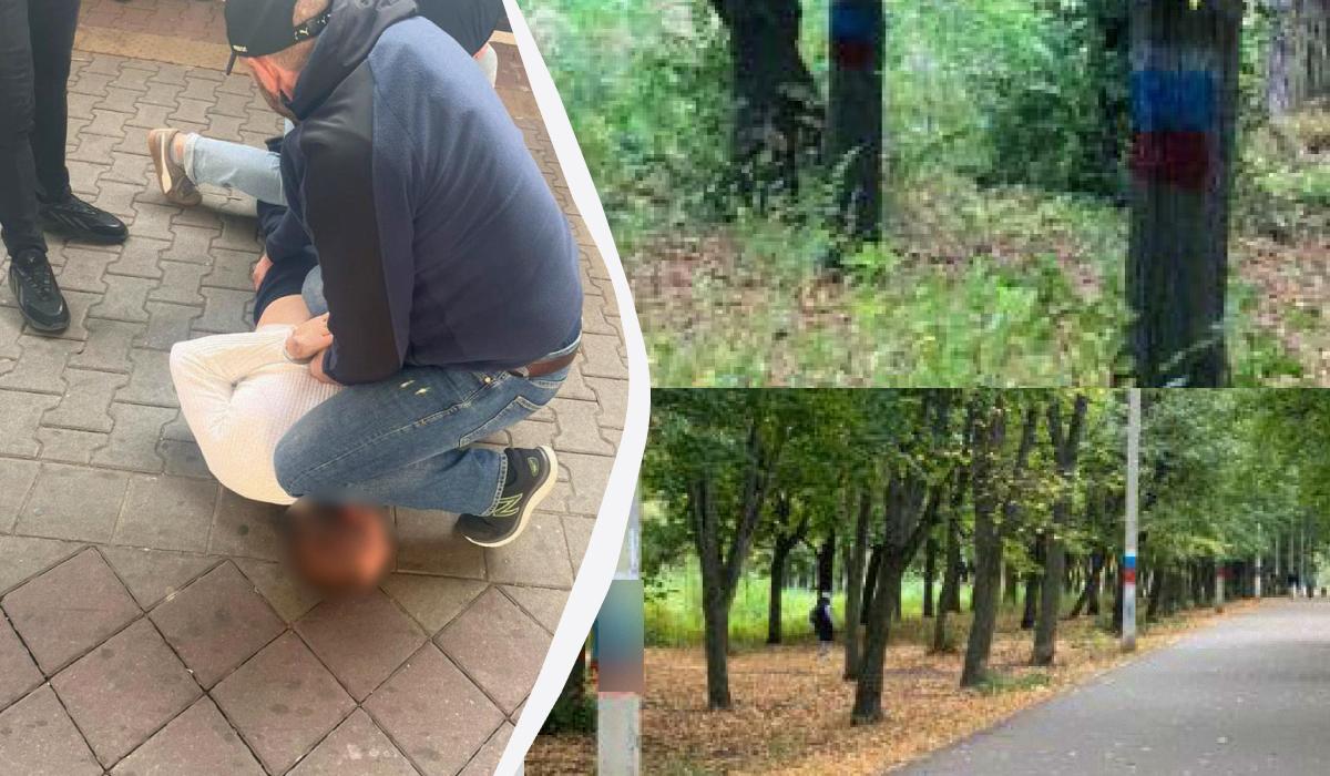 Мужчина разрисовал российскими флагами деревья в парке Харькова / коллаж УНИАН, фото полиция Харьковской области Мужчина разрисовал российскими флагами деревья в парке Харькова / коллаж УНИАН, фото полиция Харьковской области