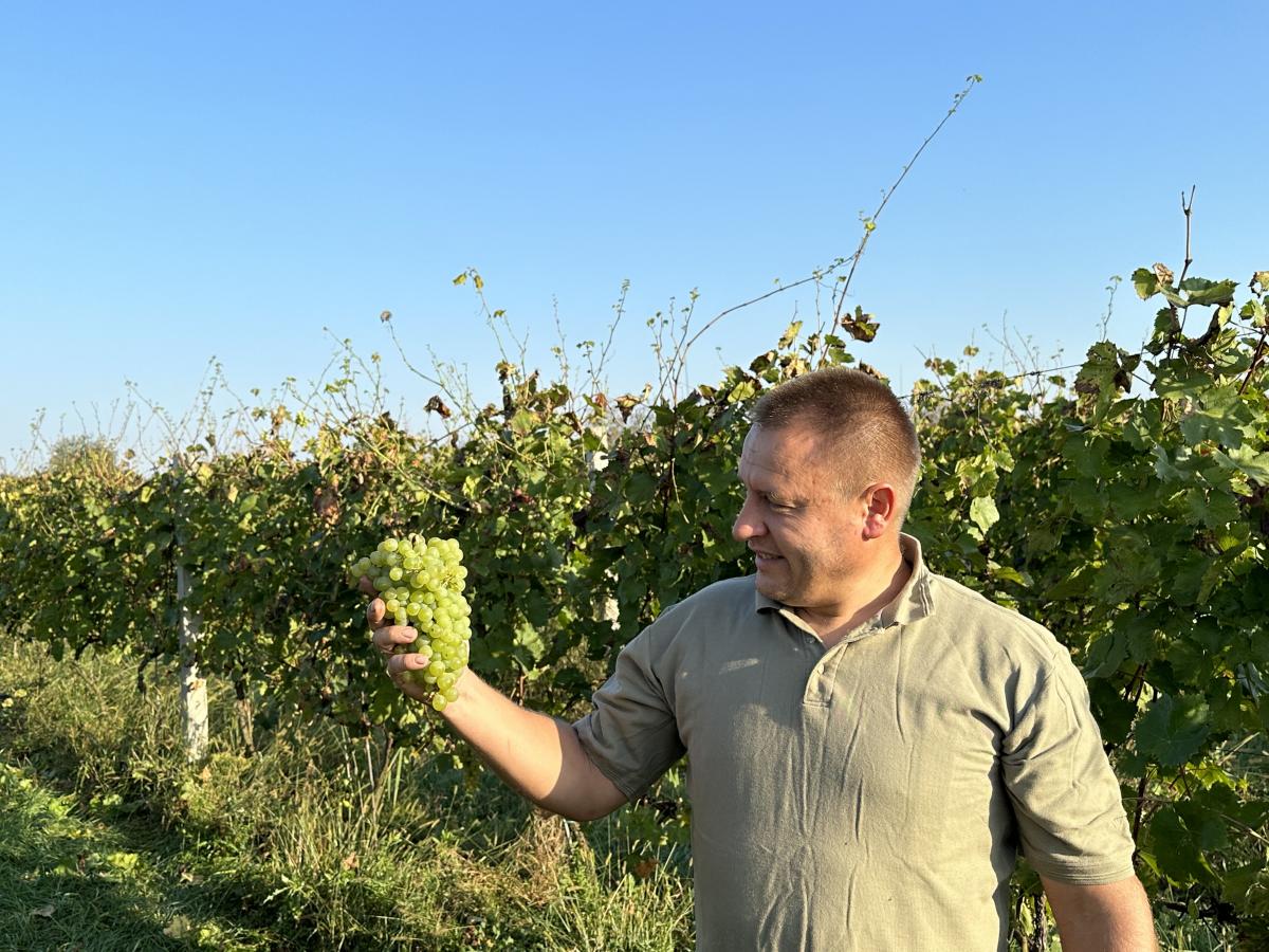 Винороб Томаш Кіш розповідає про свої виноградники / фото Наталія Петерварі Винороб Томаш Кіш розповідає про свої виноградники / фото Наталія Петерварі