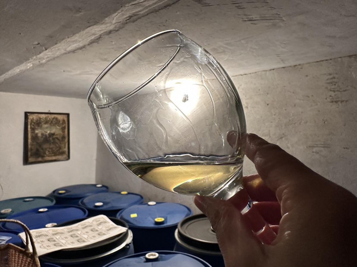 Томаш Кіш показує своє вино / фото Наталія Петерварі