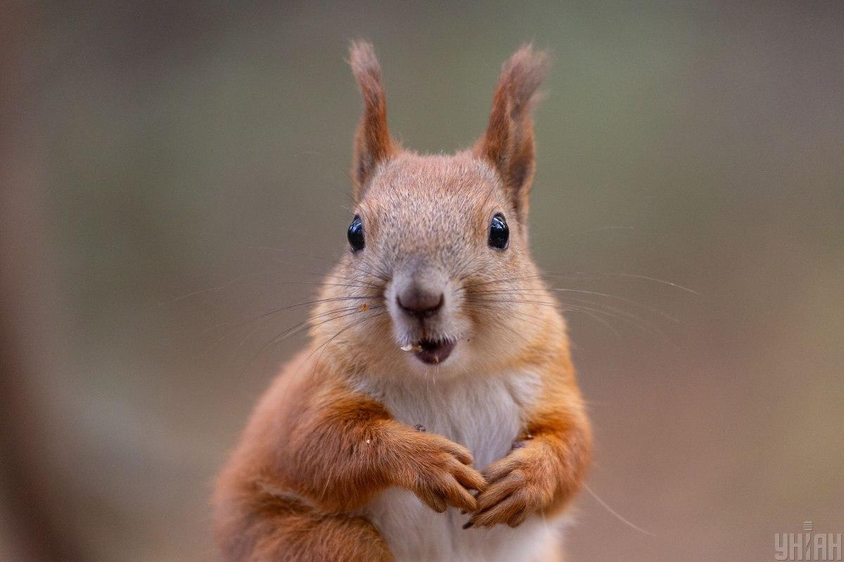 20 января в Киеве будет до +2° / фото УНИАН