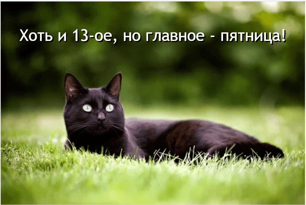 Пятница 13 картинки смешные / дизайн УНИАН, фото ua.depositphotos.com Пятница 13 картинки смешные / дизайн УНИАН, фото ua.depositphotos.com