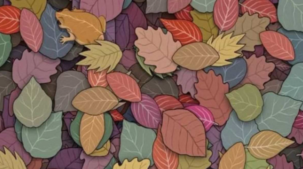 Відшукайте за лічені секунди жабу на оптичній ілюзії / малюнок jagranjosh.com Відшукайте за лічені секунди жабу на оптичній ілюзії / малюнок jagranjosh.com