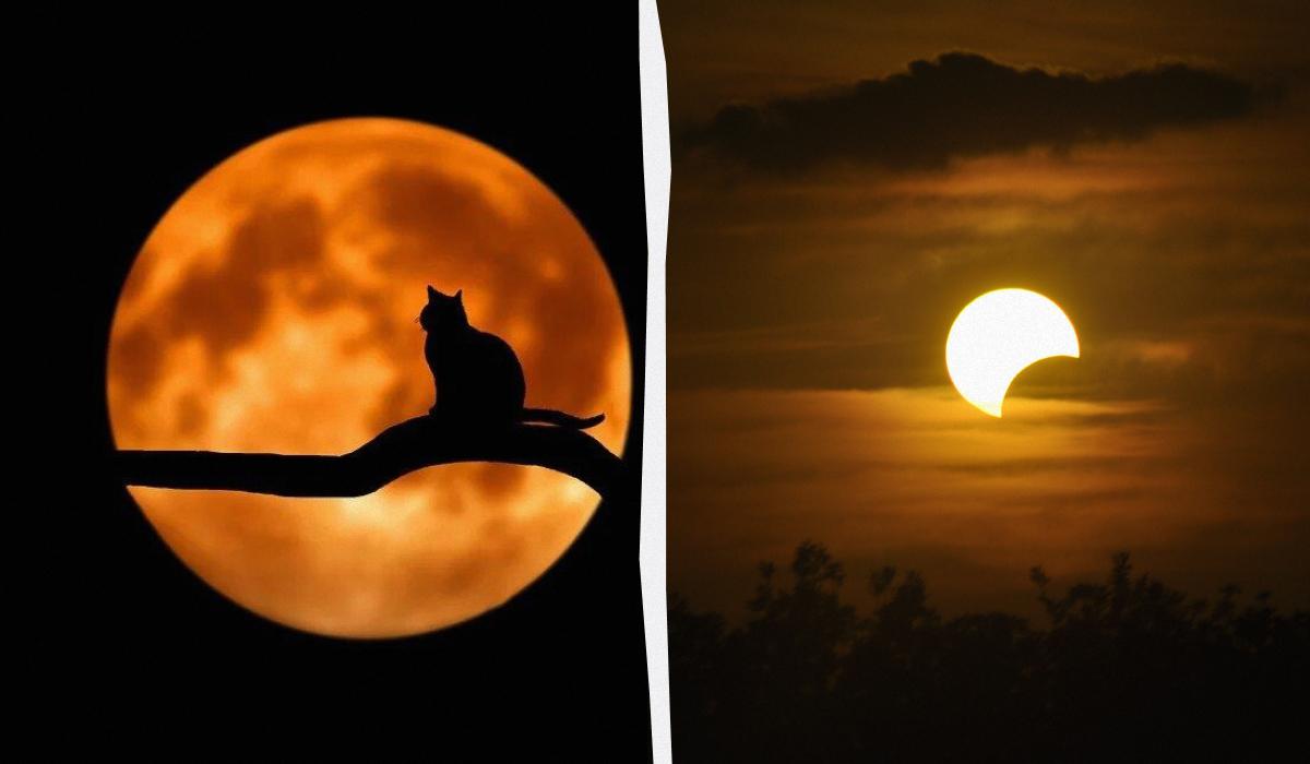 Что принесет лунное затмение в октябре 2023 / коллаж УНИАН, фото pixabay.com Что принесет лунное затмение в октябре 2023 / коллаж УНИАН, фото pixabay.com