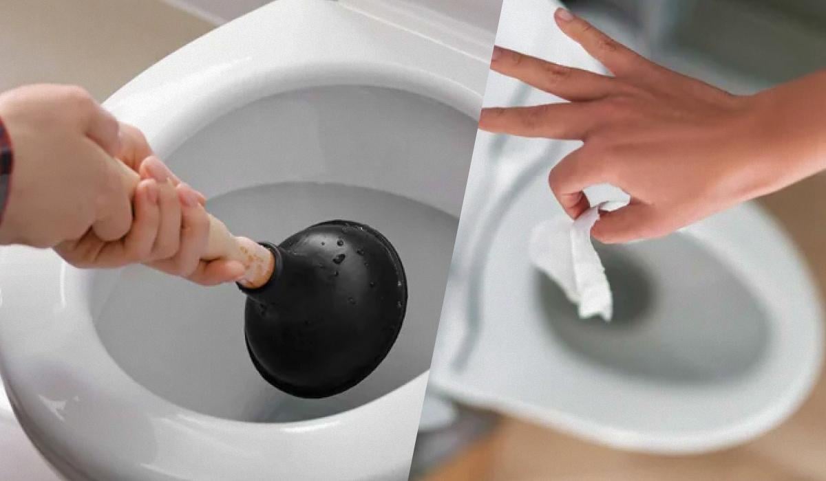 what-to-do-if-the-toilet-is-clogged-breaking-news-in-usa-today