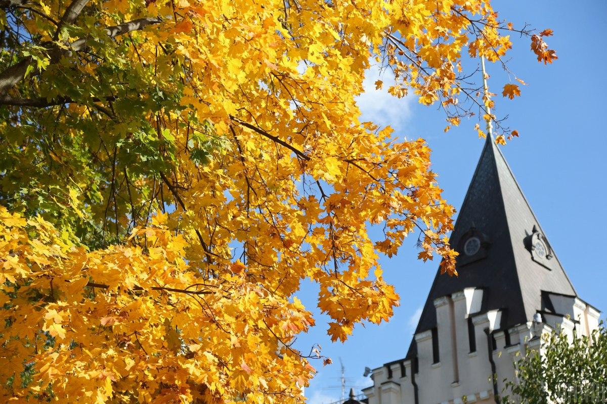 Праздник 15 ноября Украина / фото УНИАН Праздник 15 ноября Украина / фото УНИАН