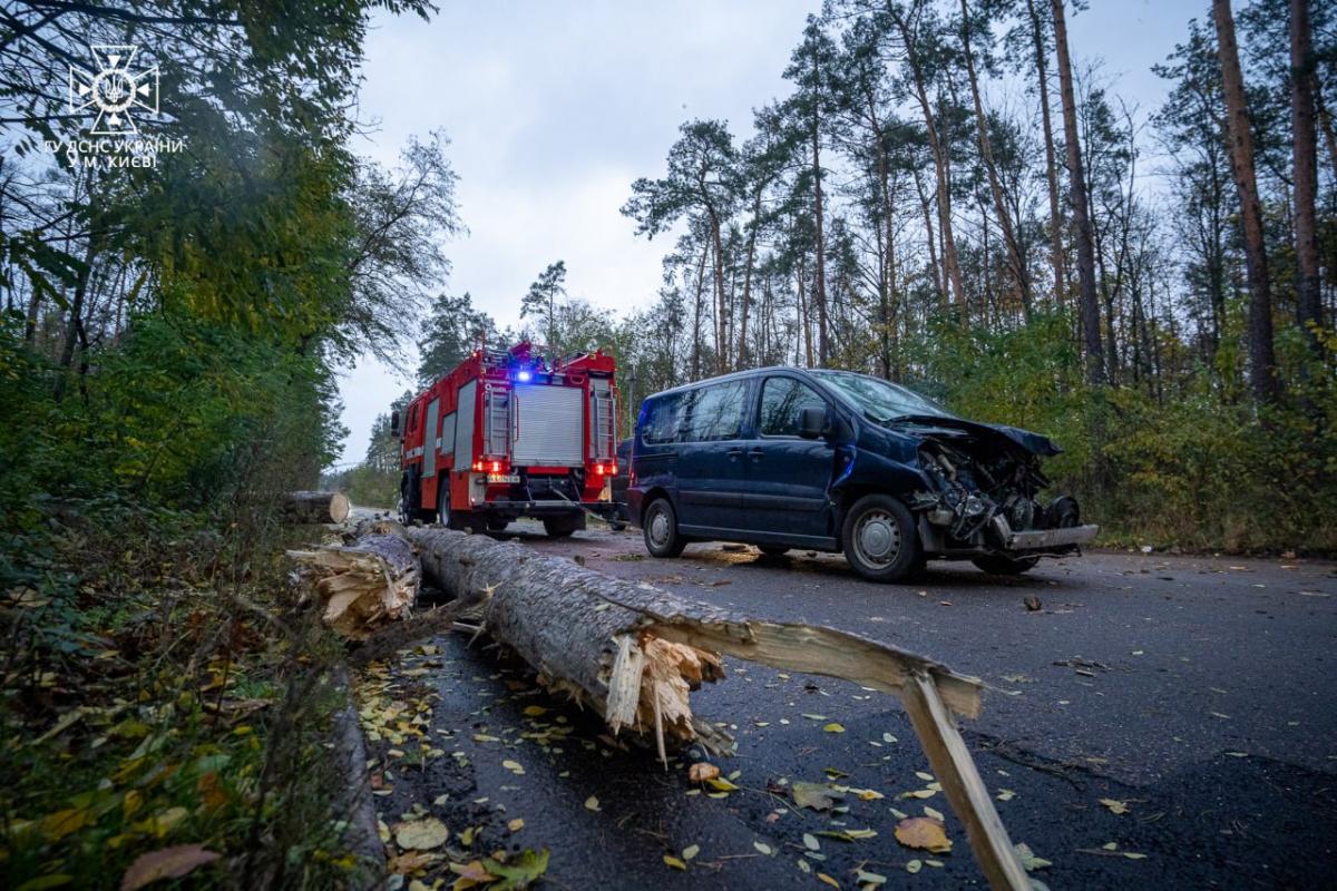 Через негоду в Києві є жертви / фото kyiv.dsns.gov.ua Через негоду в Києві є жертви / фото kyiv.dsns.gov.ua