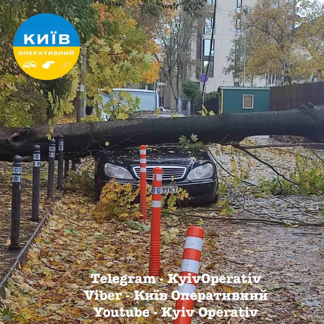 В Киеве деревья падают на автомобили / фото "Киев оперативный" В Киеве деревья падают на автомобили / фото "Киев оперативный"