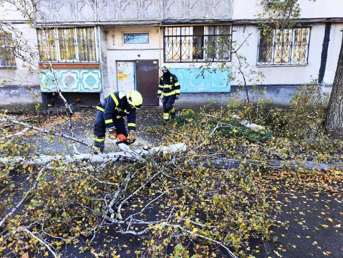 В Украине из-за непогоды сотни населенных пунктов остались без электроснабжения / фото t.me/Klymenko_MVS В Украине из-за непогоды сотни населенных пунктов остались без электроснабжения / фото t.me/Klymenko_MVS