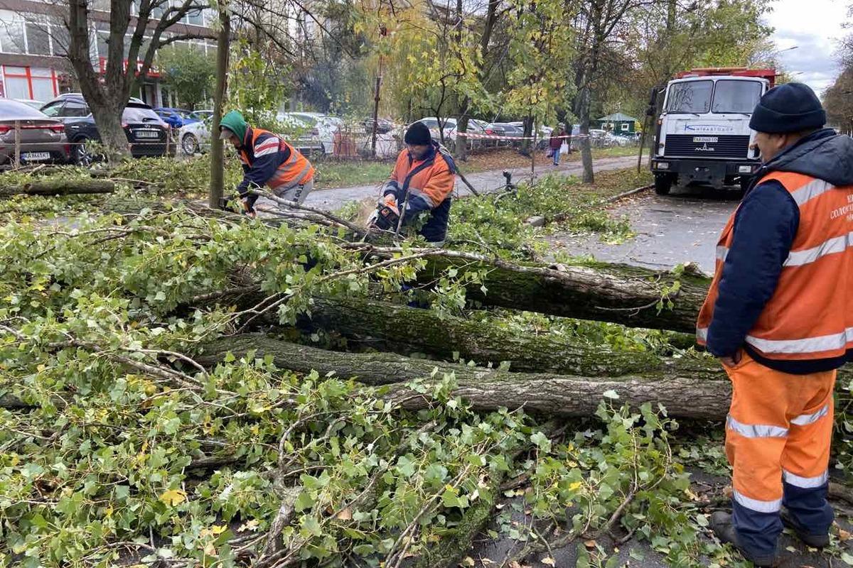 По Києву розкидало сотні дерев та гілок сильним вітром / фото facebook.com/zelenbud По Києву розкидало сотні дерев та гілок сильним вітром / фото facebook.com/zelenbud