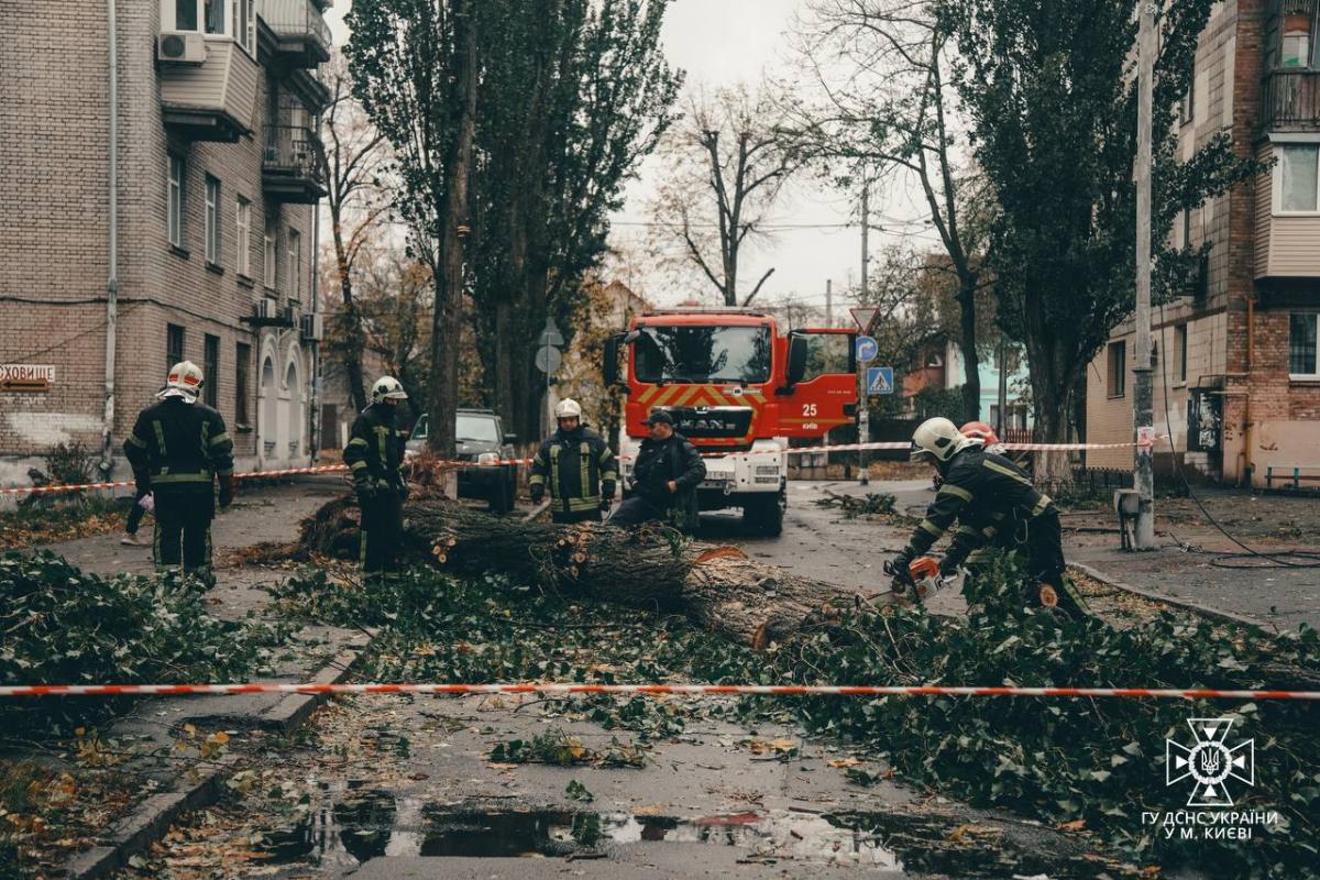 В результате непогоды в Украине погибли четыре человека / фото ГСЧС В результате непогоды в Украине погибли четыре человека / фото ГСЧС