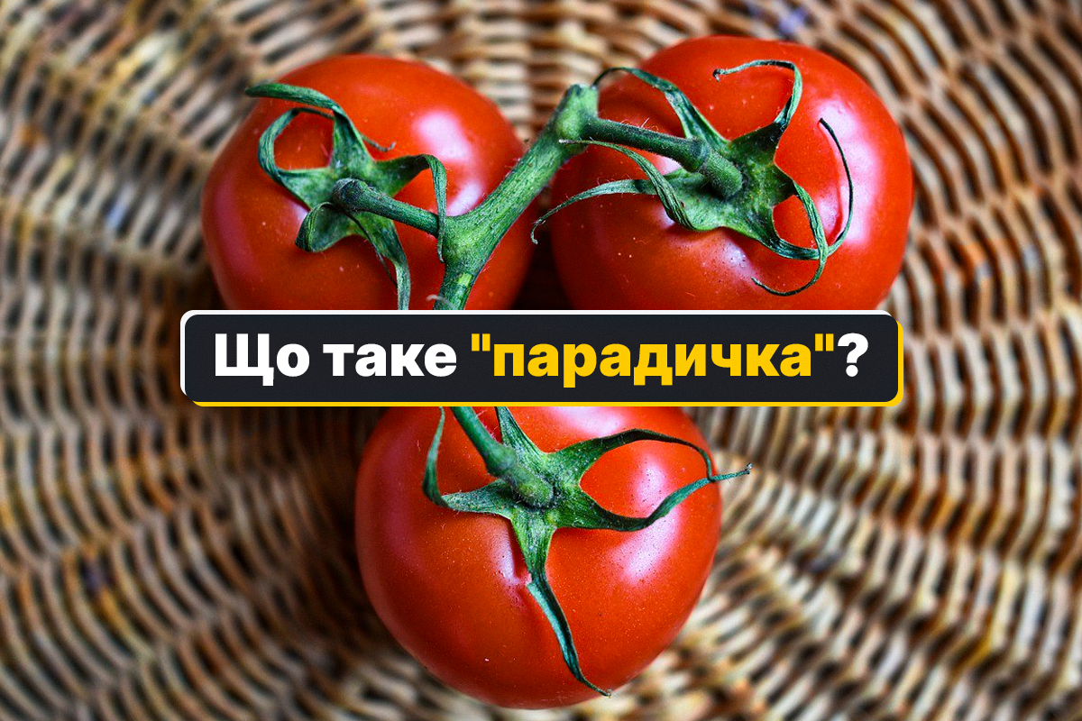 Как называют помидоры на Западной Украине - смешные закарпатские слова —  УНИАН