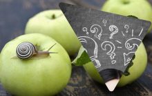 Це завдання з математики для дітей ставить дорослих у глухий кут: перевірте свої сили