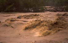 Зміни клімату в Україні: експерт попередила, яким регіонам загрожує "погодний екстрим"