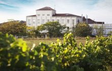 Українське вино KOBLEVO створюють вже 41 рік