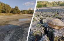 Погибло озеро: в Киеве высох популярный водоем (фото)
