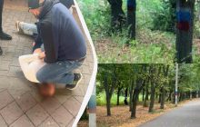 В Харькове коллаборант разрисовал российскими флагами деревья в парке и сбежал в Киев