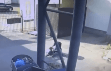 Драка с участием нардепов в Киеве: СМИ узнали, в чем подозревают политиков