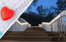 Ось скільки сходинок треба долати щодня для здоров'я серця: нове дослідження