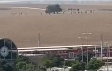 Появились жуткие подробности о жертвах ХАМАС на фестивале в пустыне