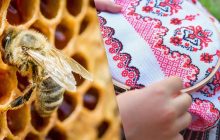 Что делали украинки на счастье: приметы в народный праздник 10 октября