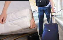 Клопи "з'їдають" Європу: як не завезти додому паразитів з незабутньої подорожі