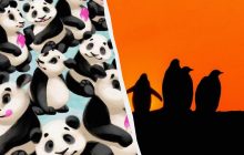 Чарівна оптична ілюзія: треба знайти пінгвіна серед милих панд за 7 секунд