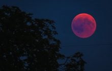 Ці знаки Зодіаку впіймають удачу за хвіст: кому "Рожевий місяць" несе щастя