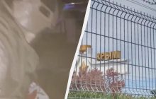 В Крыму ворвались в дом к женщине, публиковавшей мемы про Путина (видео)