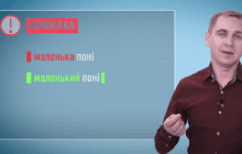 Поні – він, вона чи воно: Авраменко дав єдину правильну відповідь