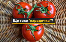 Что такое "парадичка": 15 слов, которые поймут только жители Закарпатья