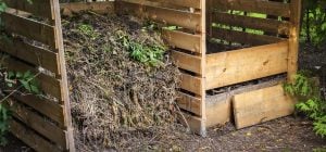 Спалювати старе листя не можна - краще зробити чудовий компост: вийде у кожного