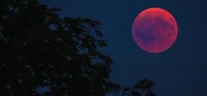 Ці знаки Зодіаку впіймають удачу за хвіст: кому "Рожевий місяць" несе щастя