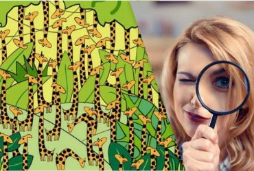 Лише люди з високим IQ знайдуть змію серед жирафів за 11 секунд на цій оптичній ілюзії