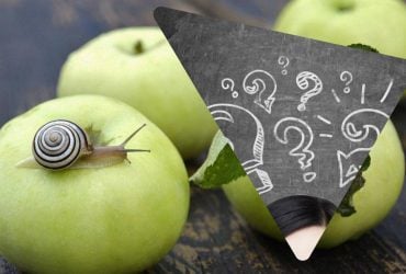 Це завдання з математики для дітей ставить дорослих у глухий кут: перевірте свої сили