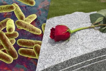 Вчені заявили, що в організмі людини існує життя після смерті