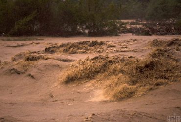 Изменение климата в Украине: эксперт предупредила, каким регионам грозит погодный экстрим